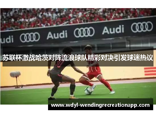 苏联杯激战哈茨对阵流浪球队精彩对决引发球迷热议